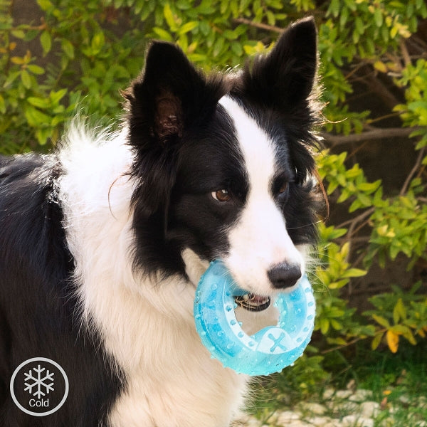 Freezable Tug Toy For Pets 2-in-1