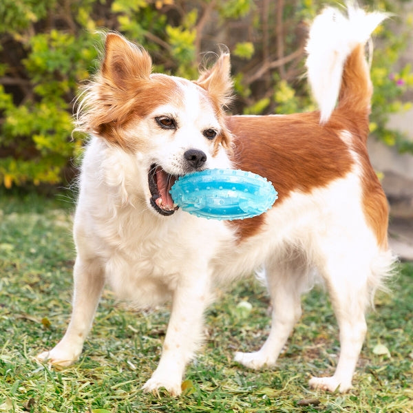 Freezable Tug Toy For Pets 2-in-1