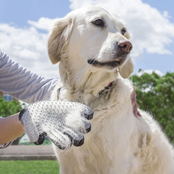 Borstelhandschoen & massagehandschoen voor huisdieren