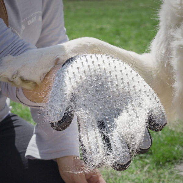 Borsthandske & Massagehandske Till Husdjur