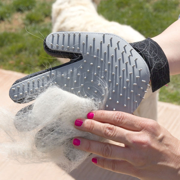 Brush Glove & Massage Glove for Pets