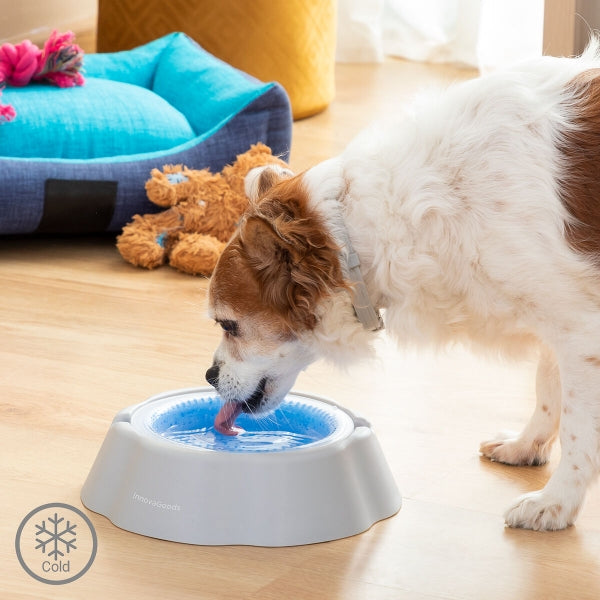 Cooling Water Bowl for Pets