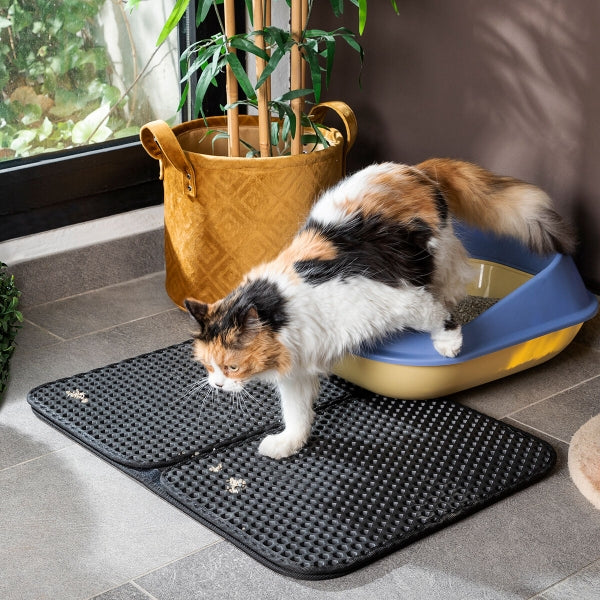 Teppich und Katzentoilette 2-in-1