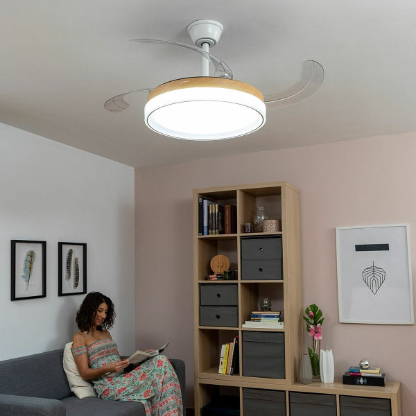 Ceiling fan with LED light