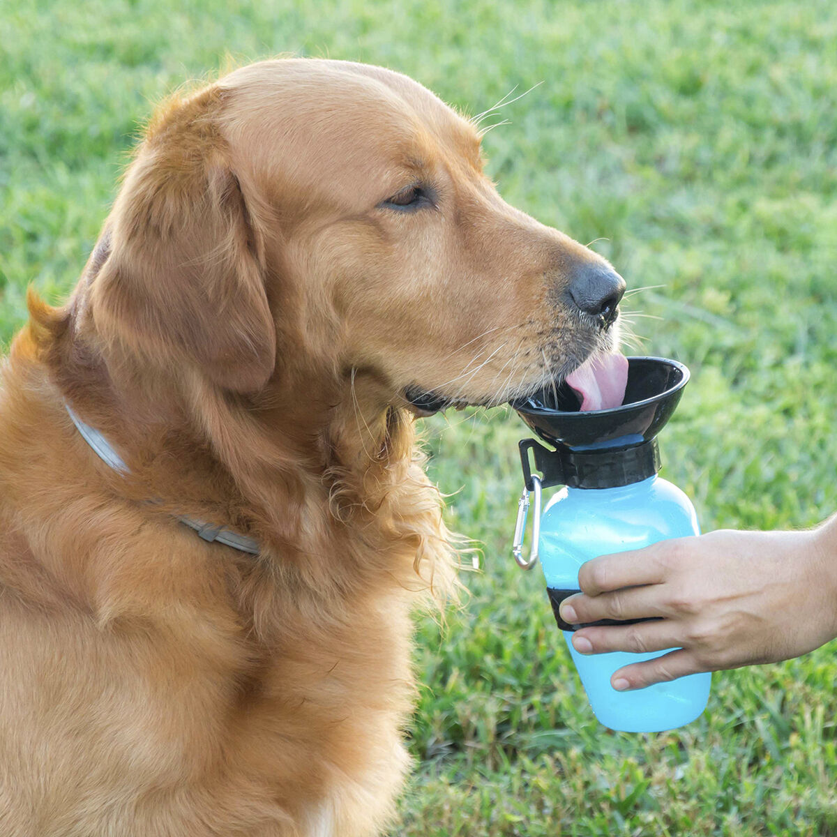 Wasserflasche mit Trinknapf für Hunde