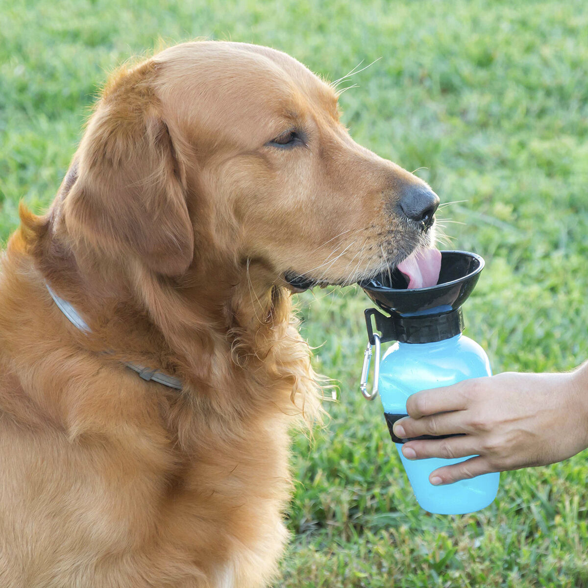 Vattenflaska Med Drickskål För Hundar