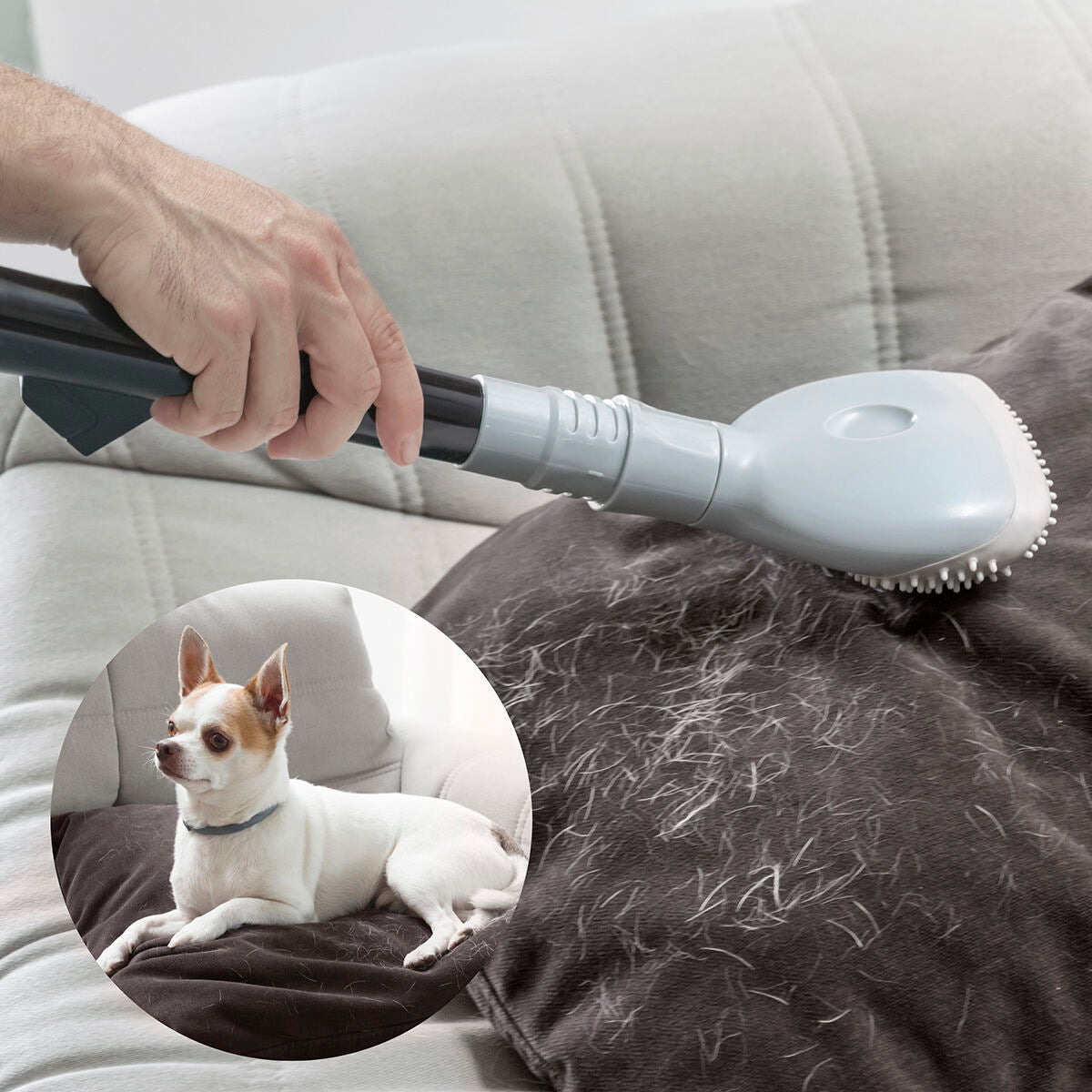 Vacuum Cleaner & Hair Removal Brush