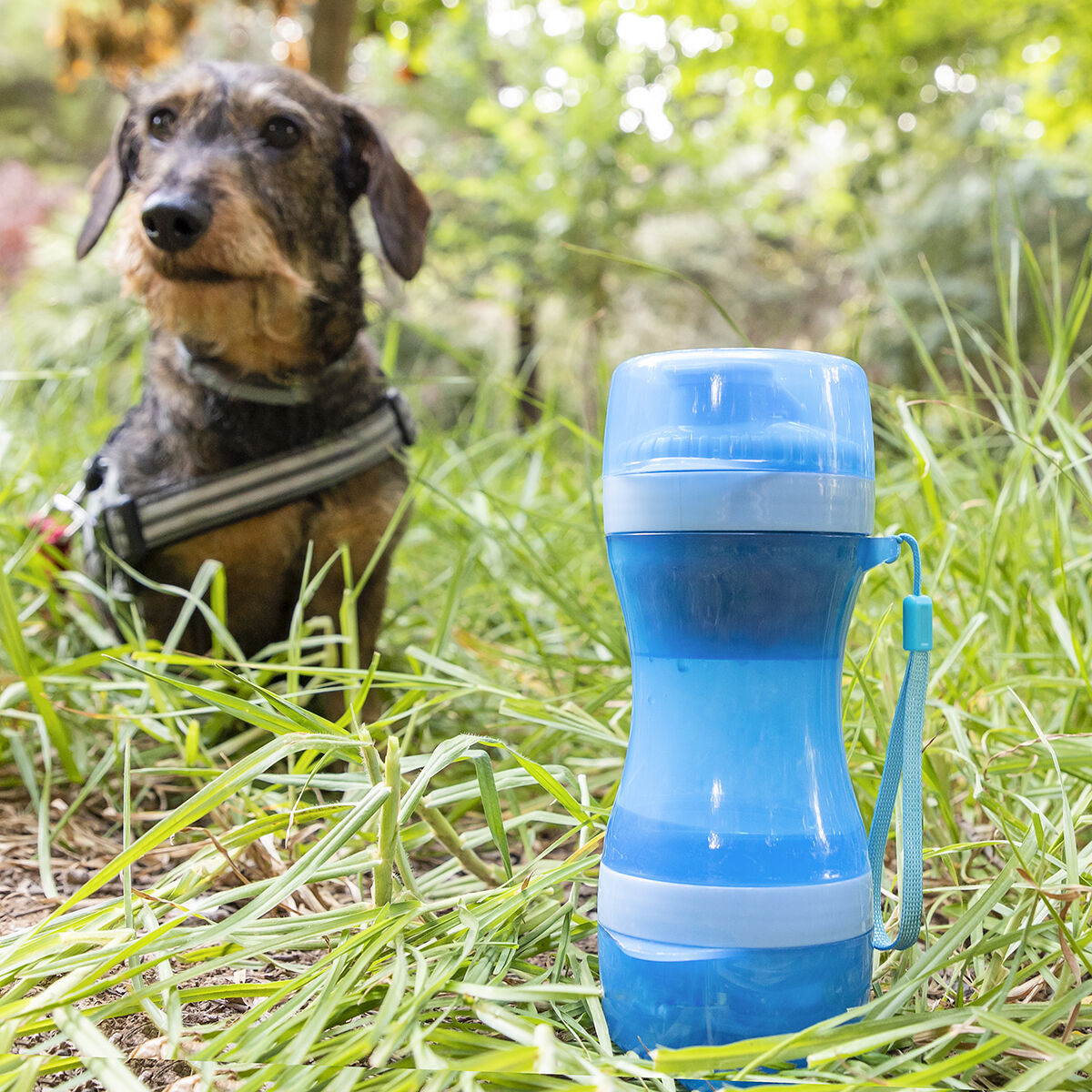 Water & Food Container For Pets 2-in-1