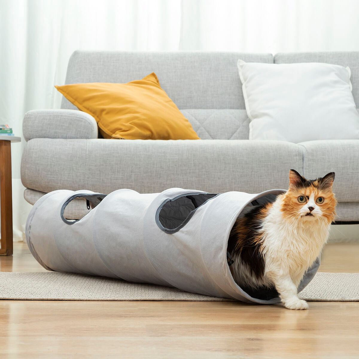 Pet Folding Tunnel