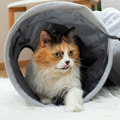 Opvouwbare tunnel voor huisdieren