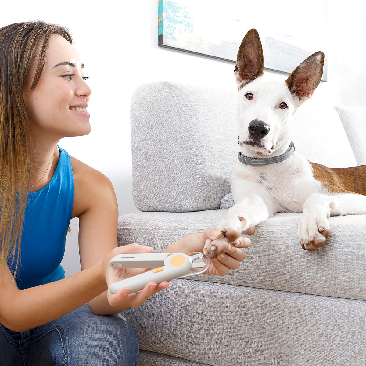 Pet Nail Clipper With LED