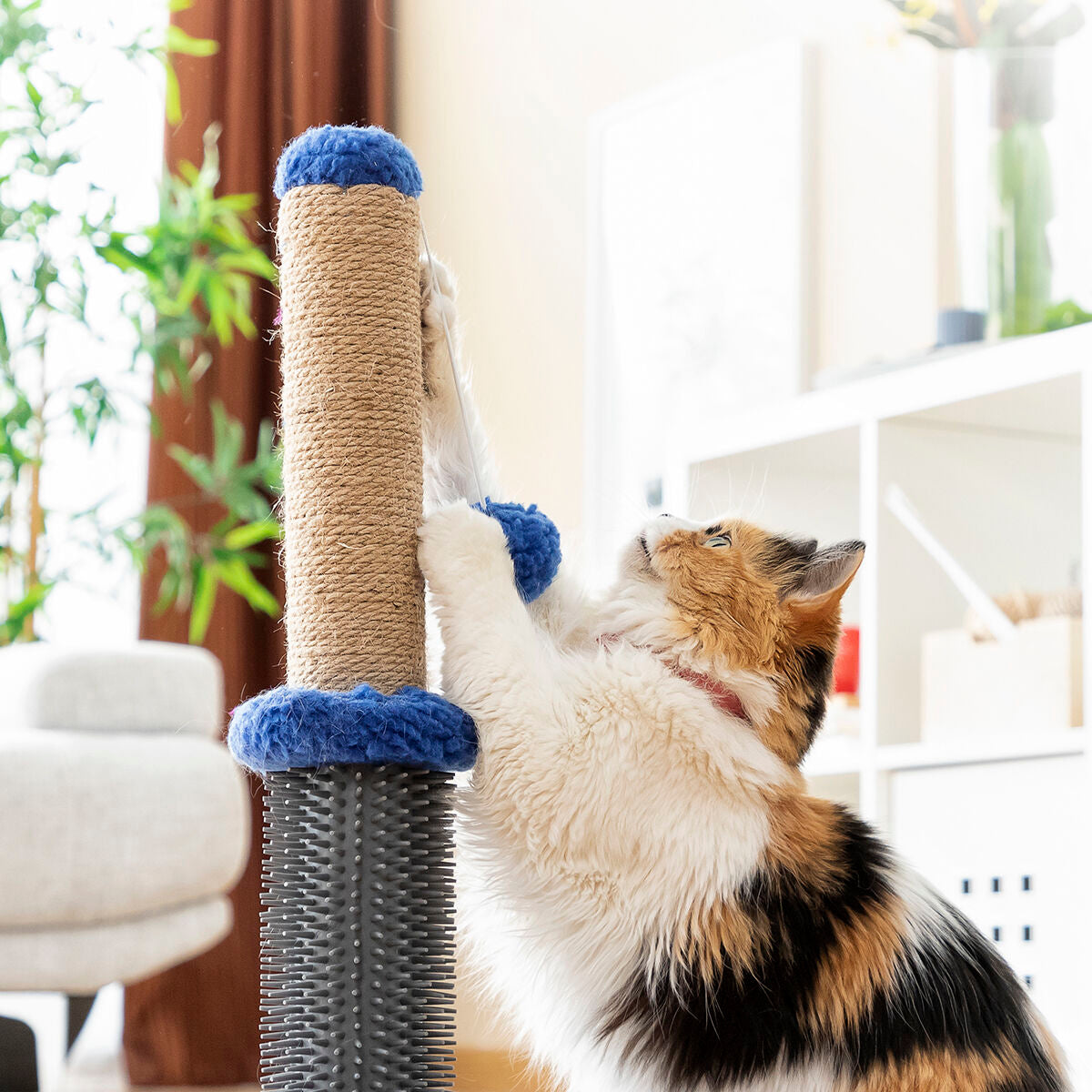 Krallen- und Massagesäule für Katzen