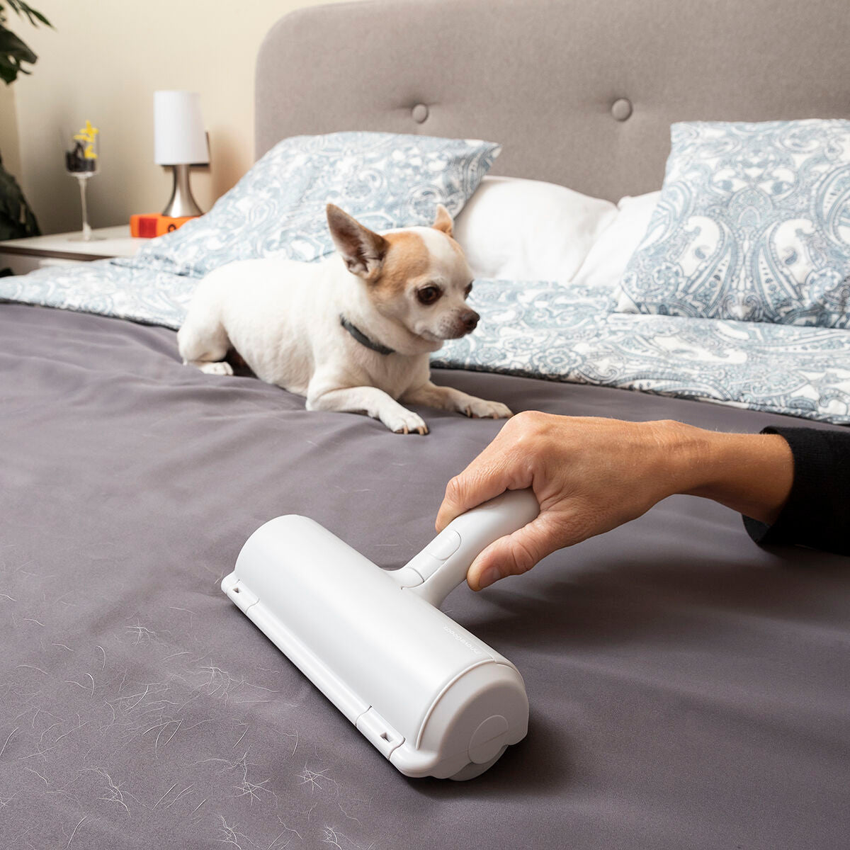 Pet Hair Roller